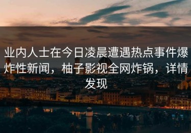 业内人士在今日凌晨遭遇热点事件爆炸性新闻，柚子影视全网炸锅，详情发现