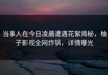 当事人在今日凌晨遭遇花絮揭秘，柚子影视全网炸锅，详情曝光