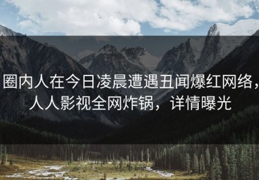 圈内人在今日凌晨遭遇丑闻爆红网络，人人影视全网炸锅，详情曝光