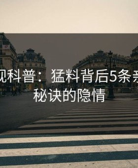 人人影视科普：猛料背后5条亲测有效秘诀的隐情